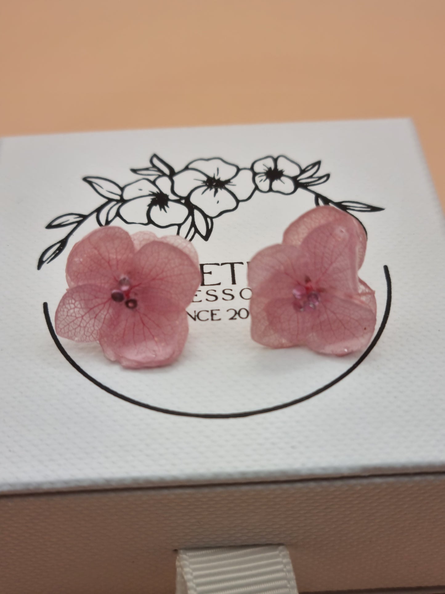 Hortensien-Traum in Rosa