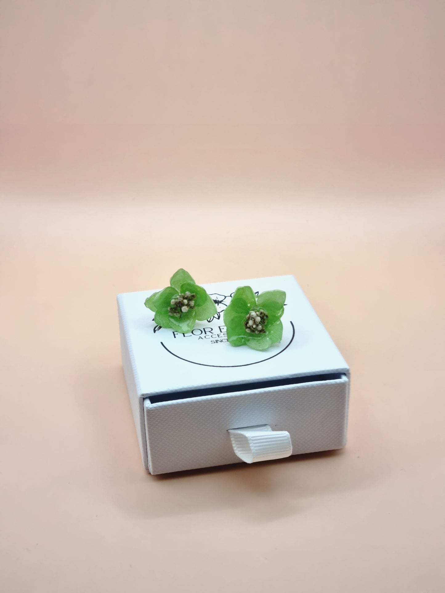 Hydrangea Dream in Spring Green – 01