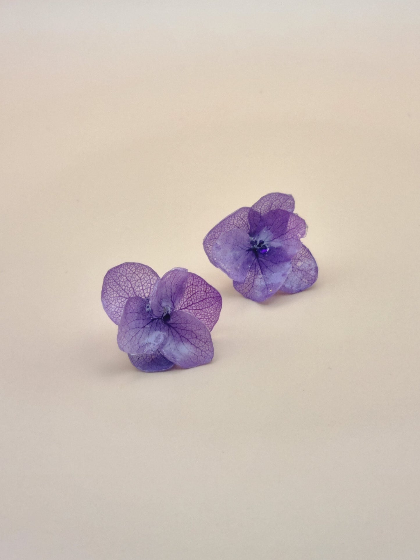 Sueño de hortensia en color morado - 01