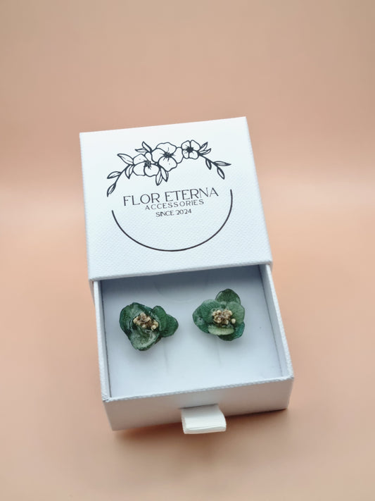 Sueño de hortensias en verde bosque – 01
